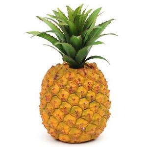 Pineapple 1 Piece